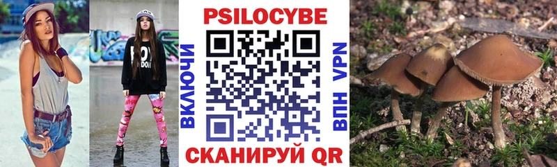 Купить где  Назарово  Псилоцибиновые грибы GOLDEN TEACHER 